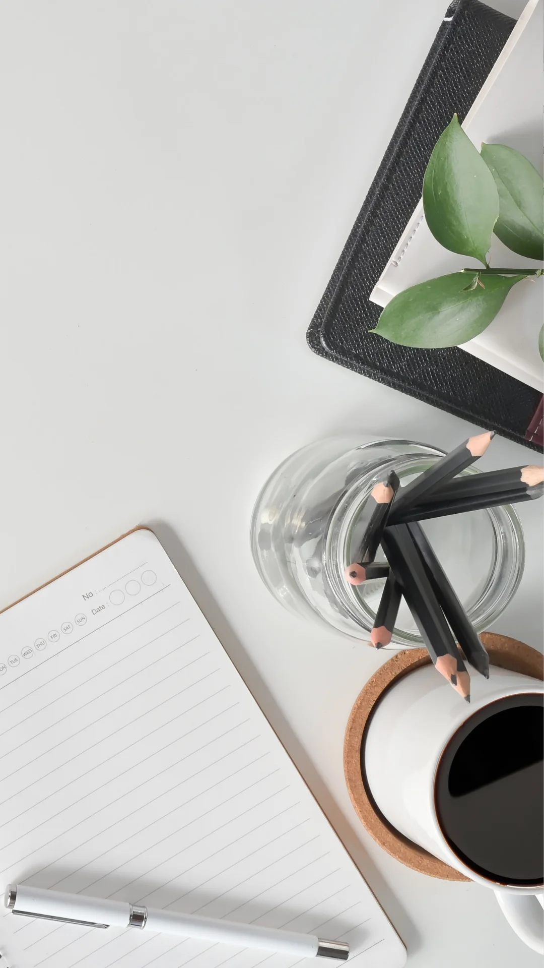 Business & Projekt Support_Sabine Reber VA